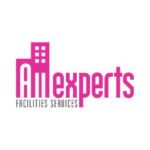 all-experts-logo